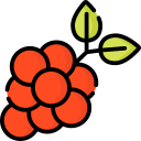 uvas icon