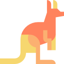 canguro 