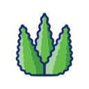 aloe vera icon