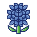 hortensia icon