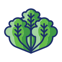 lechuga icon