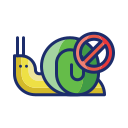 caracol 