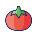 tomate icon