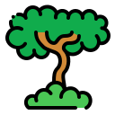 Árbol