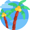 palmera icon