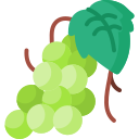 Grape 