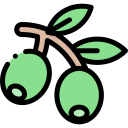 aceituna icon