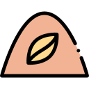 chocolate icon