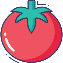 tomate icon