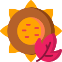 girasol icon