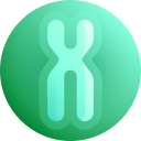 cromosoma icon