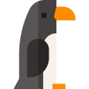 pingüino