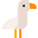 gaviota 