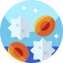 leucocito icon