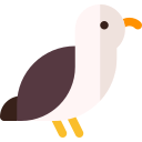 gaviota icon