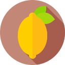 limón icon