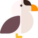 eider icon