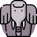 elefante icon