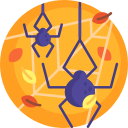 araña icon