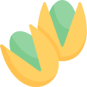 pistacho icon