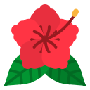 hibisco icon