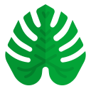 hoja de monstera icon