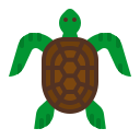 tortuga