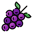 uvas icon