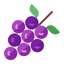 uvas icon