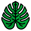 hoja de monstera icon