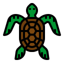 tortuga