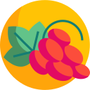 uvas icon