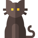 gato negro 
