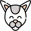 gato icon