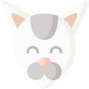 gato icon