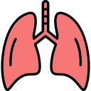 pulmones humanos icon