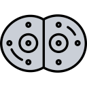 mitosis icon