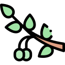 aceituna icon