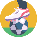 pelota de fútbol icon