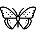 Бабочка icon