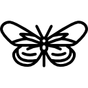 Бабочка icon