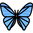 mariposa 