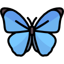 mariposa icon