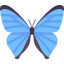 mariposa 