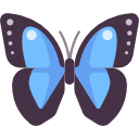 mariposa 