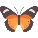 mariposa 