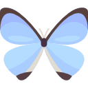 mariposa 