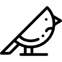 pájaro icon