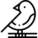 pájaro icon