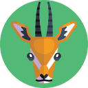 antilope 